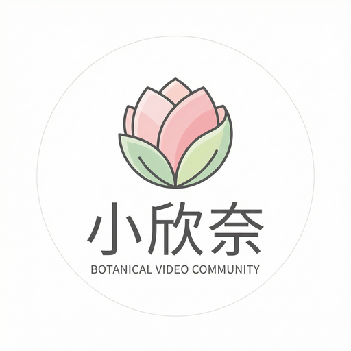 小欣奈
